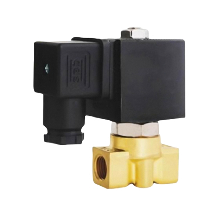 304 Stainless Steel Miniature Solenoid Valve