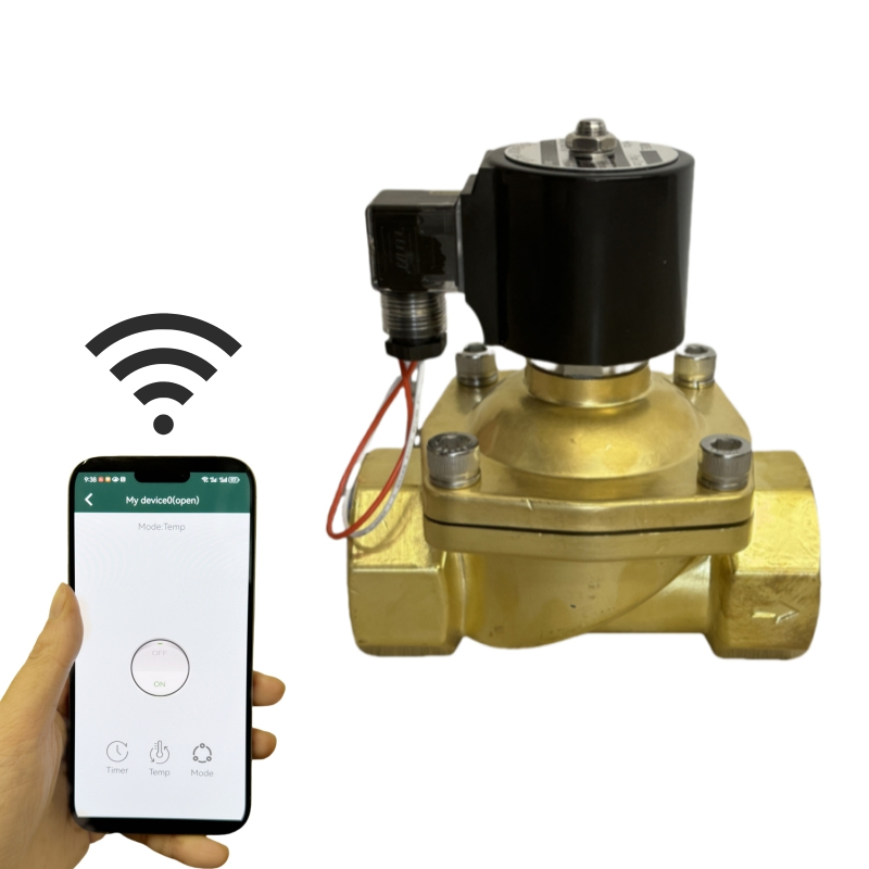 App Timer Control Solenoid Valve