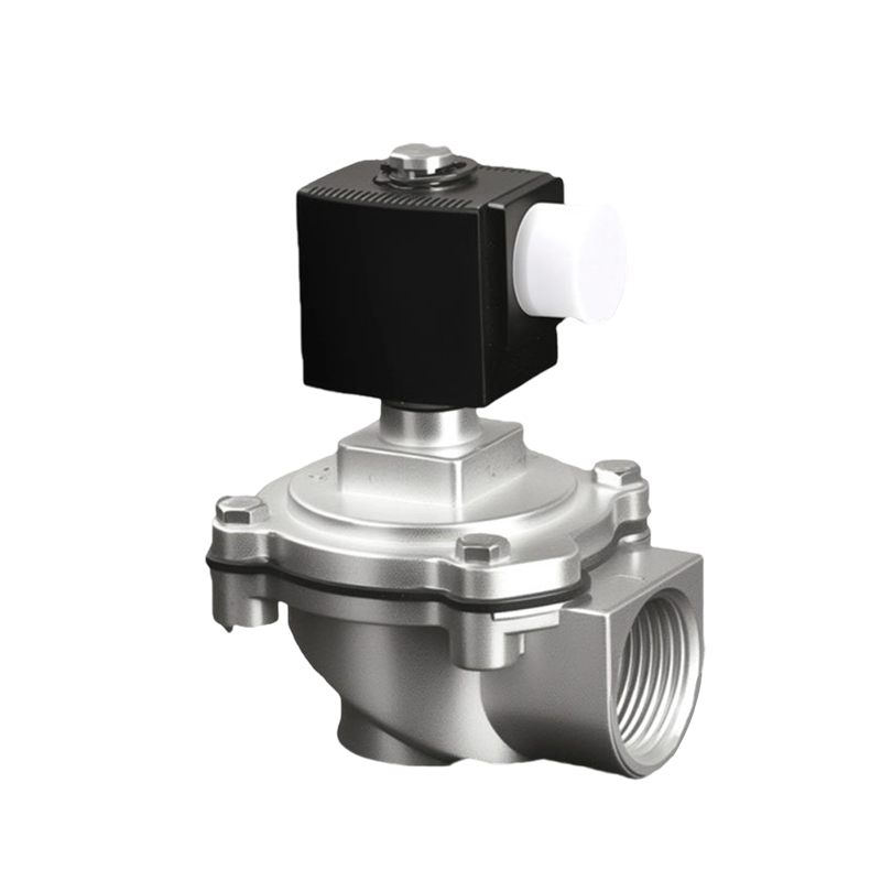 Stainless Steel Pulse Solenoid Valve